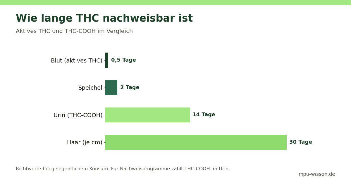 Wie lange THC nachweisbar ist – Aktives THC und THC-COOH im Vergleich