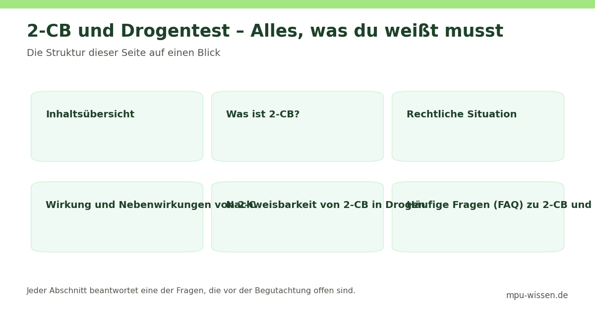 2-CB und Drogentest – Alles, was du weißt musst – Die Struktur dieser Seite auf einen Blick