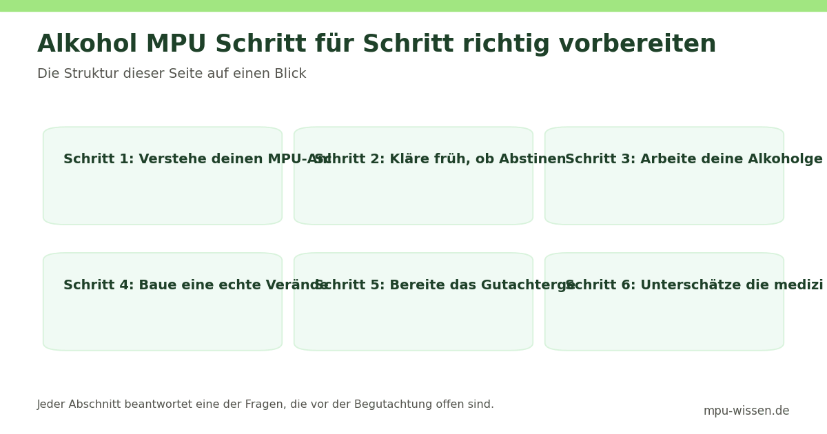 Alkohol MPU Schritt für Schritt richtig vorbereiten – Die Struktur dieser Seite auf einen Blick