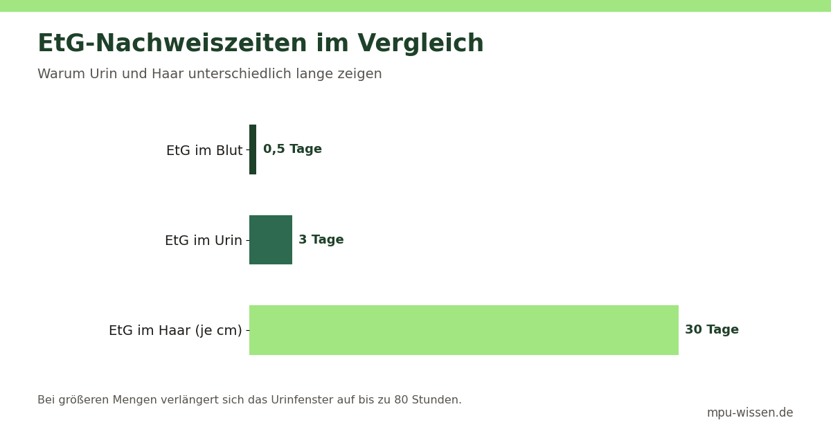 EtG-Nachweiszeiten im Vergleich – Warum Urin und Haar unterschiedlich lange zeigen