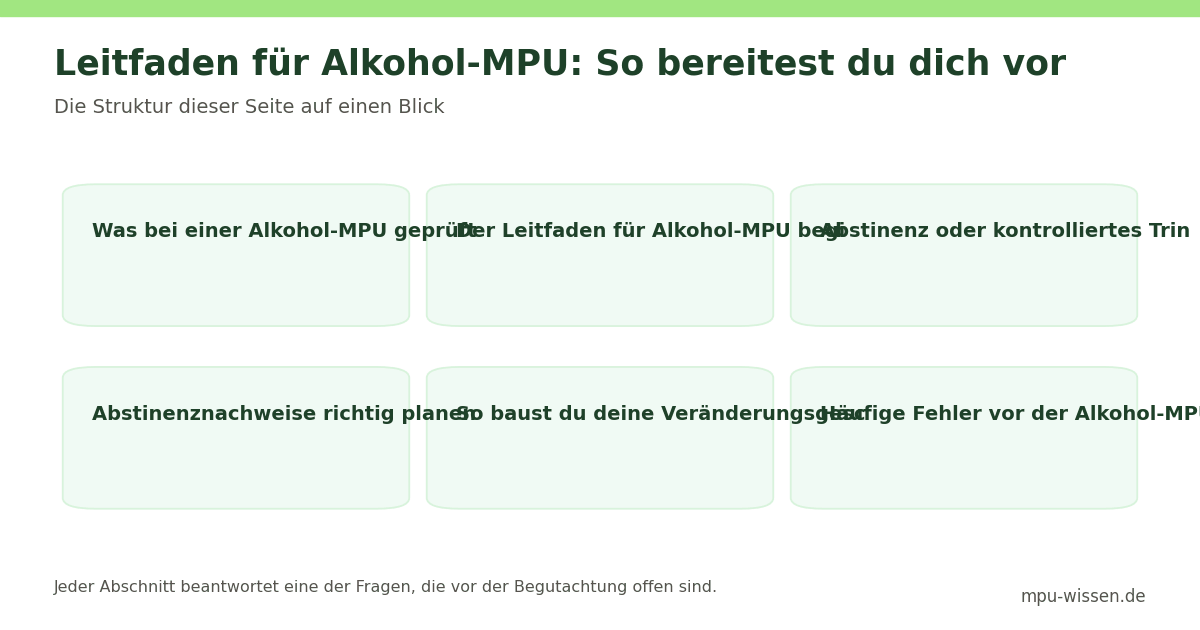 Leitfaden für Alkohol-MPU: So bereitest du dich vor – Die Struktur dieser Seite auf einen Blick