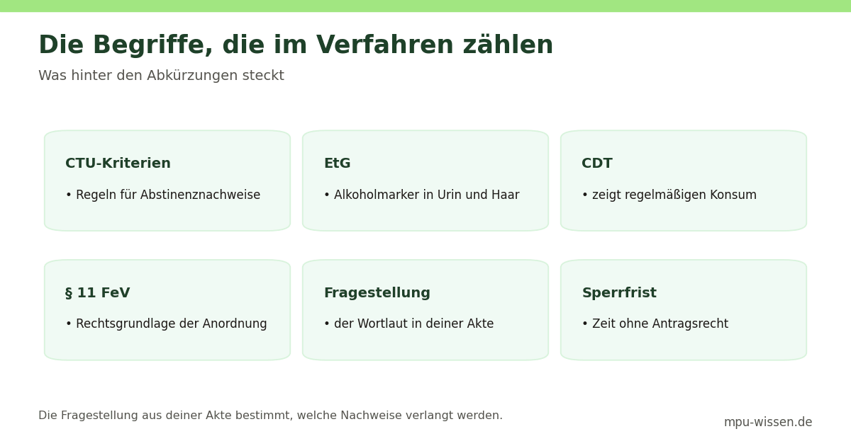Die Begriffe, die im Verfahren zählen – Was hinter den Abkürzungen steckt