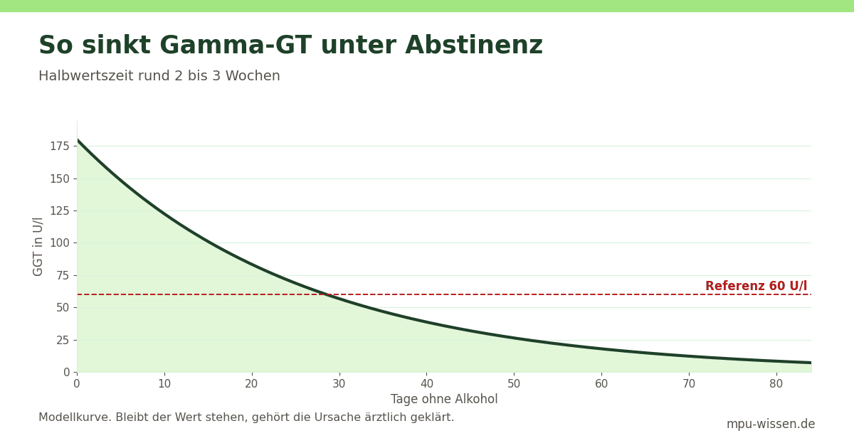 So sinkt Gamma-GT unter Abstinenz – Halbwertszeit rund 2 bis 3 Wochen