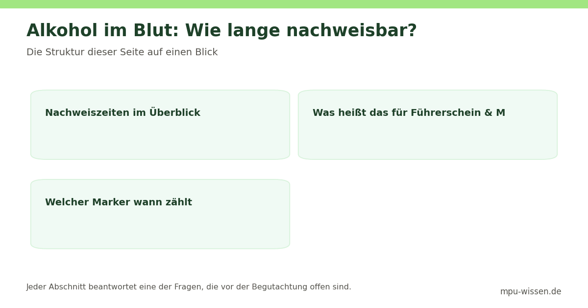 Alkohol im Blut: Wie lange nachweisbar? – Die Struktur dieser Seite auf einen Blick