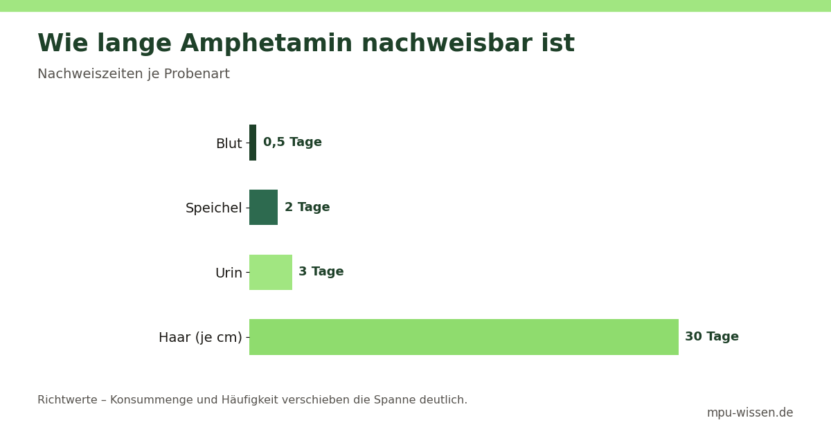 Wie lange Amphetamin nachweisbar ist – Nachweiszeiten je Probenart