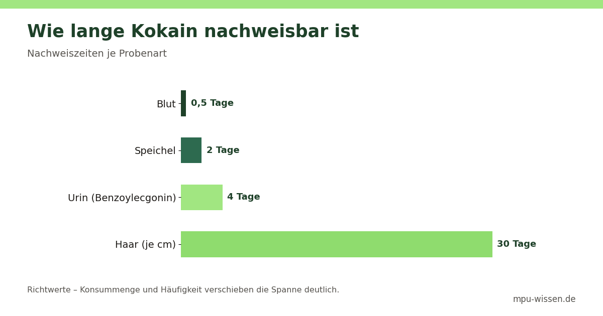 Wie lange Kokain nachweisbar ist – Nachweiszeiten je Probenart