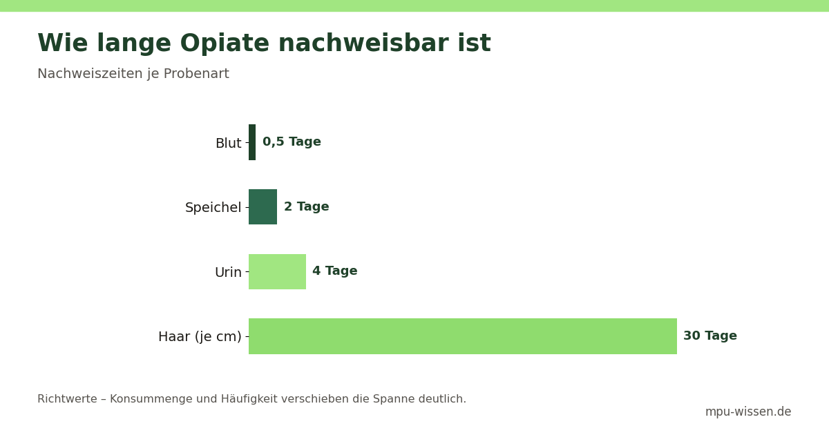 Wie lange Opiate nachweisbar ist – Nachweiszeiten je Probenart